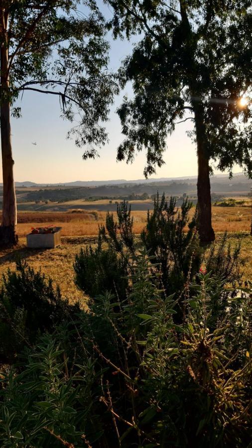 Agriturismo Uliveto Gretacci 蒙特马拉诺 外观 照片