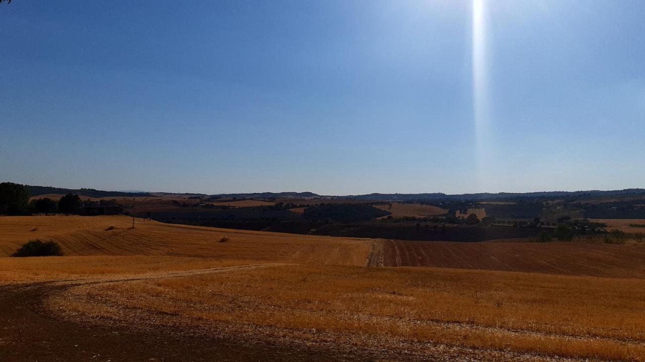 Agriturismo Uliveto Gretacci 蒙特马拉诺 外观 照片