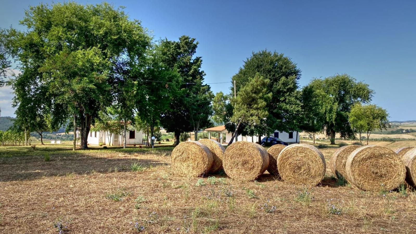 Agriturismo Uliveto Gretacci 蒙特马拉诺 外观 照片
