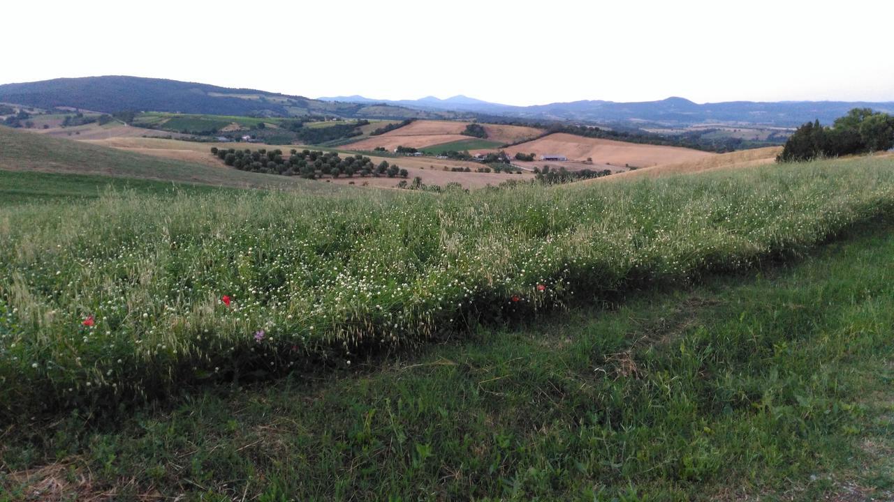 Agriturismo Uliveto Gretacci 蒙特马拉诺 外观 照片